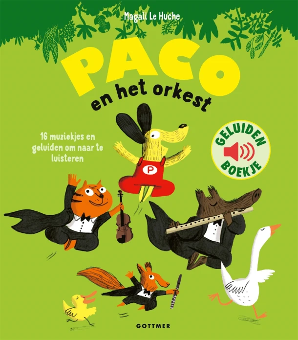 Paco en het orkest – Magali Le Huche – boek cover