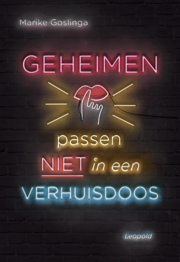 Geheimen passen niet in een verhuisdoos – Marike Goslinga – boek cover