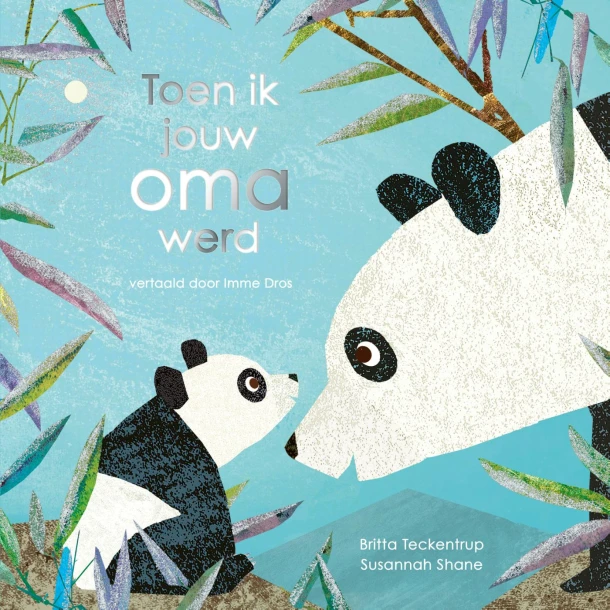 Toen ik jouw oma werd – Susannah Shane – boek cover