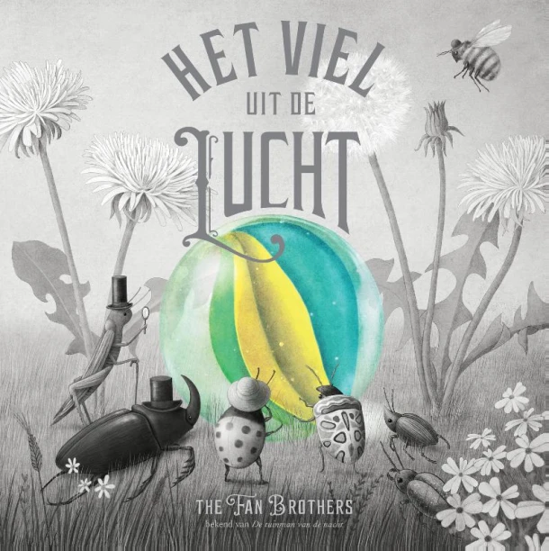 Het viel uit de lucht – Fan Brothers – boek cover