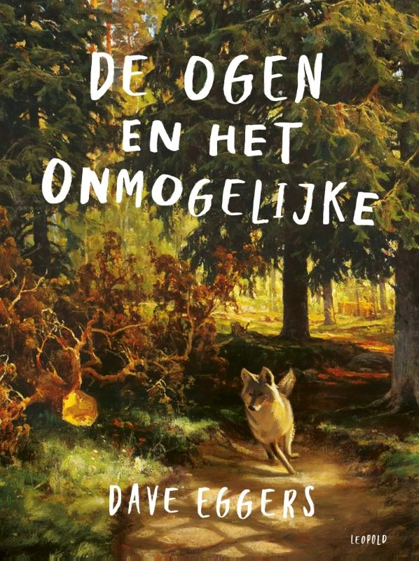 De ogen en het onmogelijke – Dave Eggers – boek cover