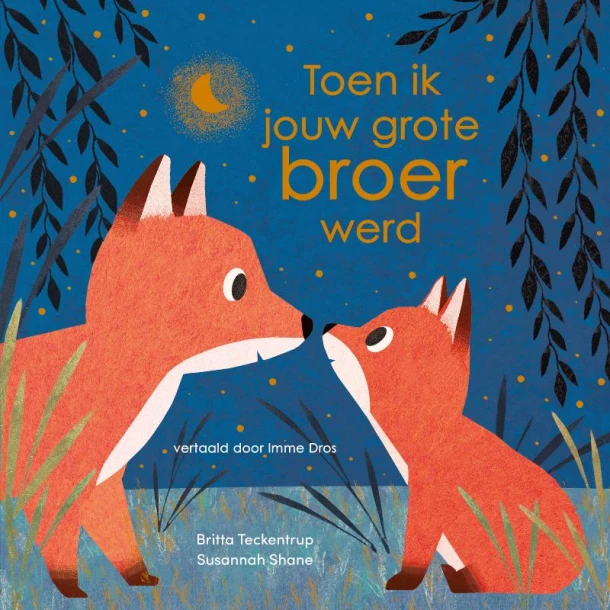 Toen ik jouw grote broer werd – Susannah Shane – boek cover