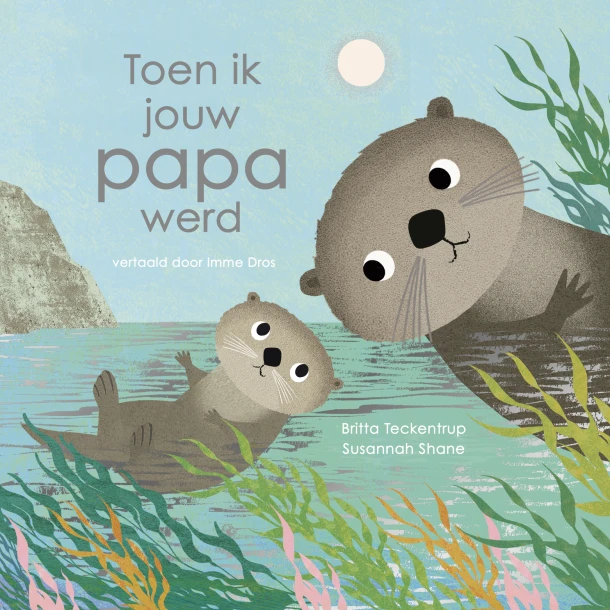 Toen ik jouw papa werd – Susannah Shane – boek cover
