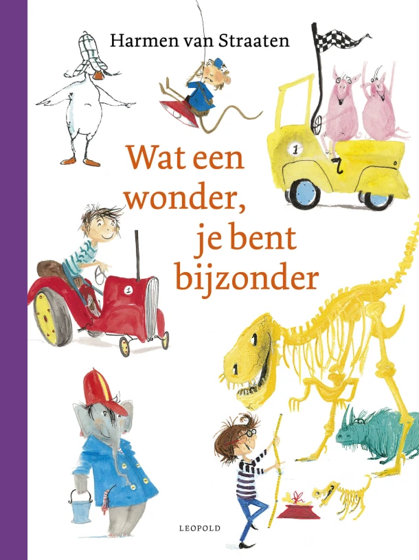 Wat een wonder, je bent bijzonder – Harmen van Straaten – boek cover