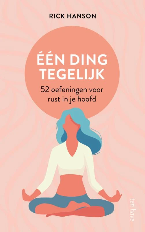 Eén ding tegelijk – Rick Hanson – boek cover