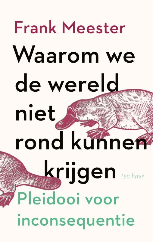 Waarom we de wereld niet rond kunnen krijgen – Frank Meester – boek cover