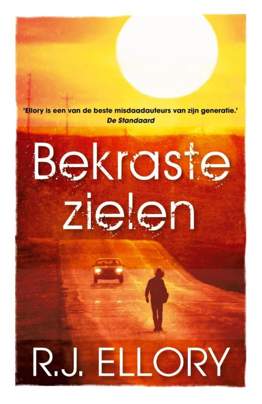 Bekraste zielen – R.J. Ellory – boek cover