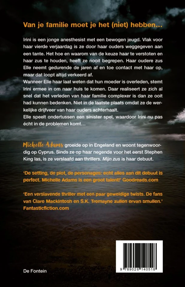 Mijn zus – Michelle Adams – boek cover