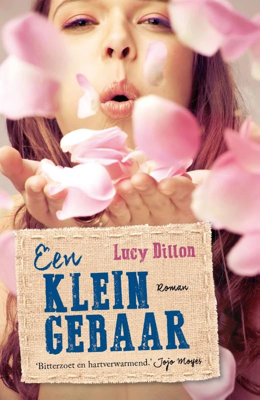 Een klein gebaar – Lucy Dillon – boek cover