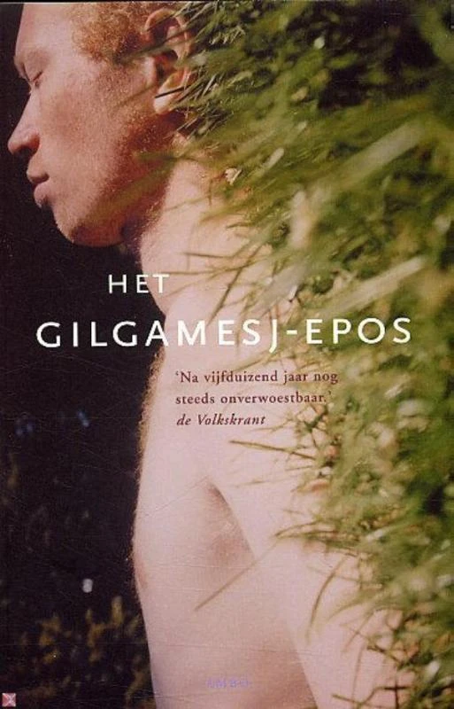 Het Gilgamesj-epos – Theo de Feyter – boek cover