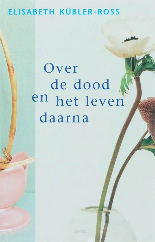 Over de dood en het leven daarna – boek cover