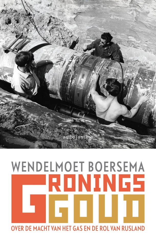 Gronings goud – Wendelmoet Boersema – boek cover
