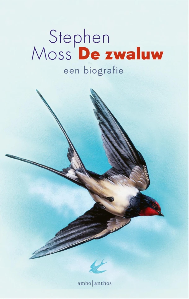 De zwaluw – Stephen Moss – boek cover