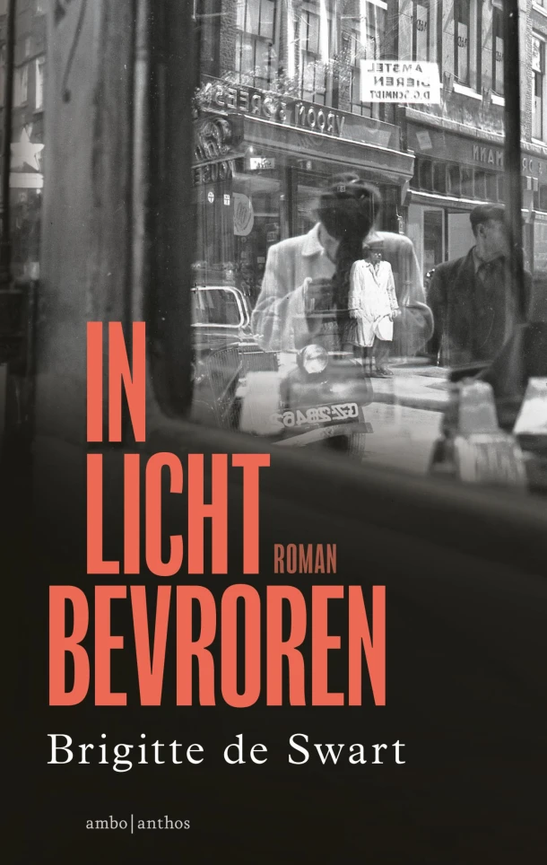 In licht bevroren – Brigitte de Swart – boek cover