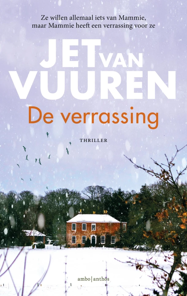 De verrassing – Jet van Vuuren – boek cover