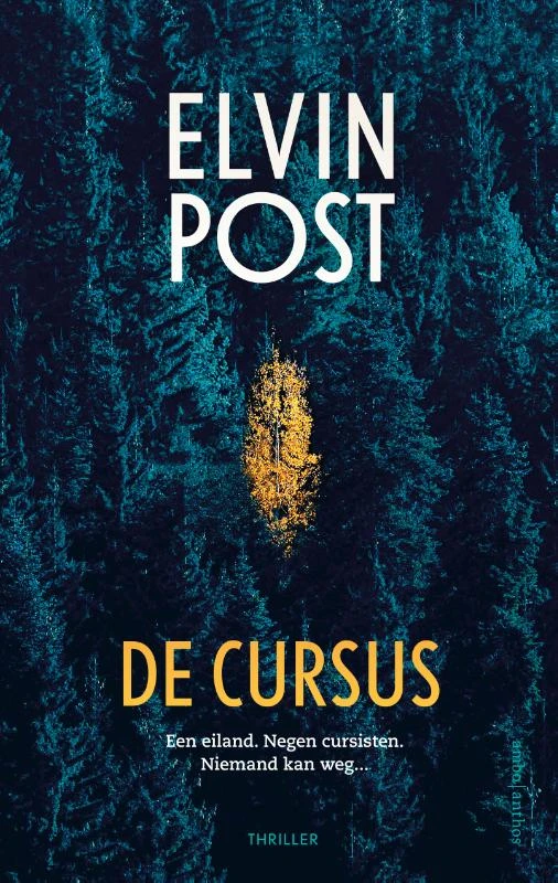 De cursus – Elvin Post – boek cover