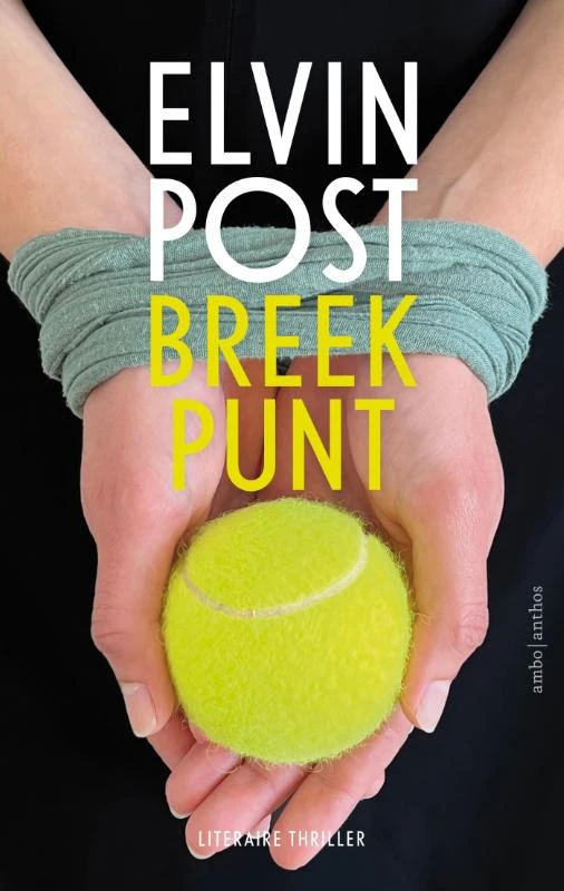Breekpunt – Elvin Post – boek cover