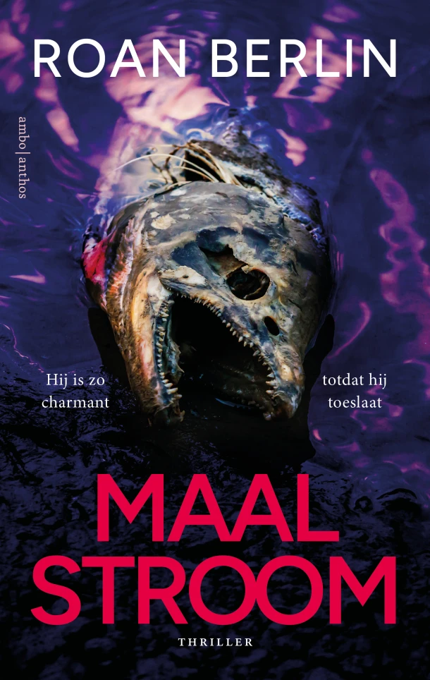 Maalstroom – Roan Berlin – boek cover