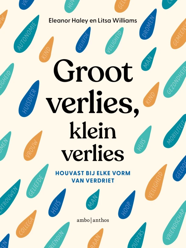 Groot verlies, klein verlies – Eleanor Haley – boek cover