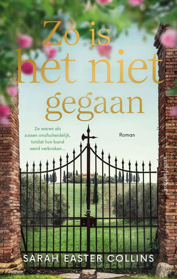 Zo is het niet gegaan – Sarah Easter Collins – boek cover