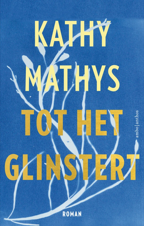Tot het glinstert – Kathy Mathys – boek cover