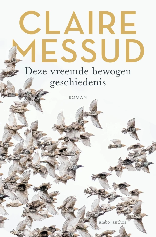 Deze vreemde bewogen geschiedenis – Claire Messud – boek cover