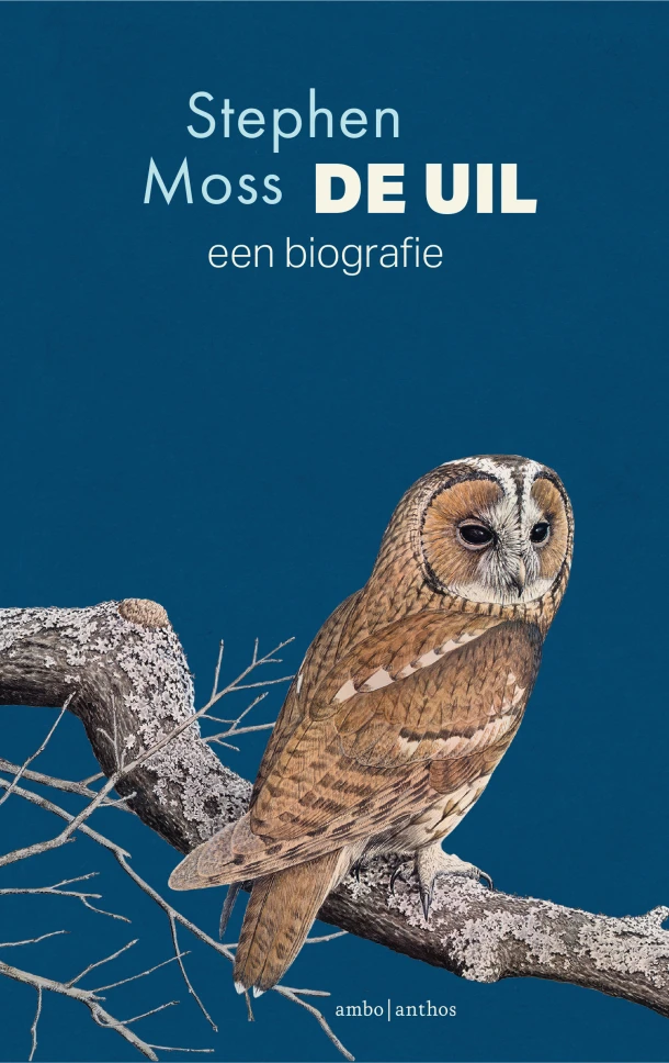 De uil – Stephen Moss – boek cover