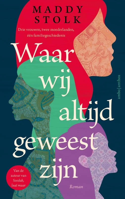 Waar wij altijd geweest zijn – Maddy Stolk – boek cover