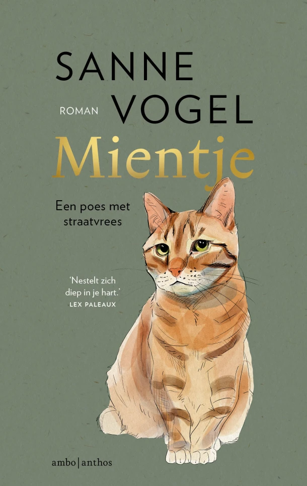 Mientje – Sanne Vogel – boek cover