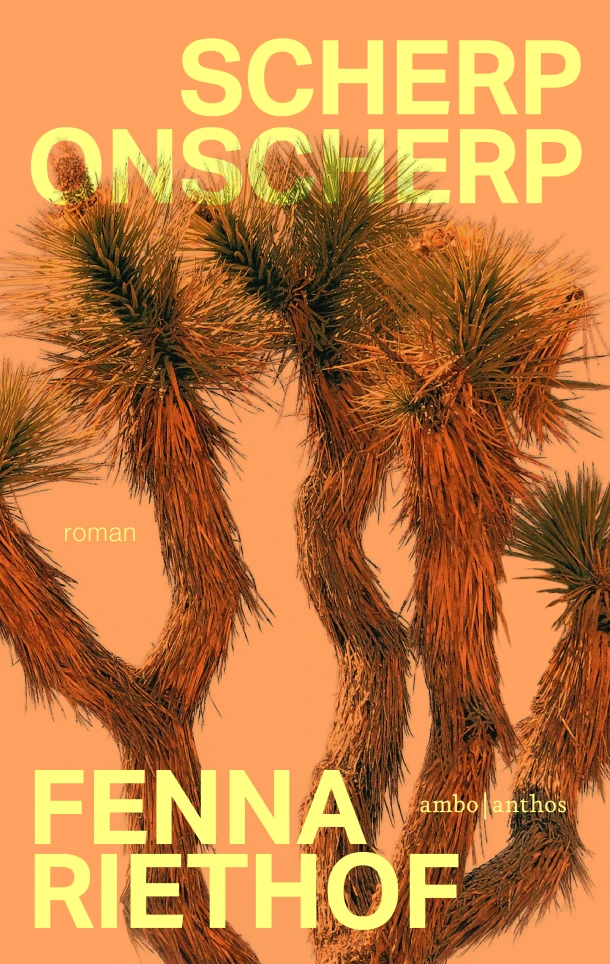 Scherp onscherp – Fenna Riethof – boek cover