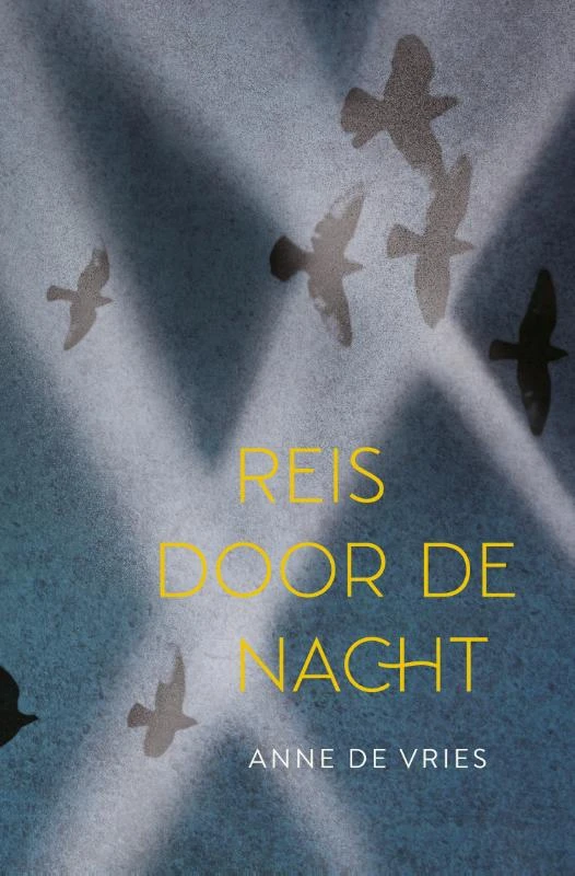 Reis door de nacht – Anne de Vries – boek cover