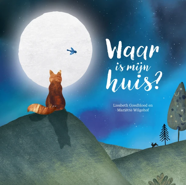 Waar is mijn huis? – Liesbeth Goedbloed – boek cover