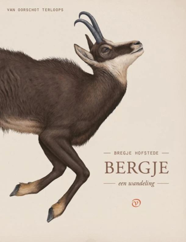 Bergje – Bregje Hofstede – boek cover