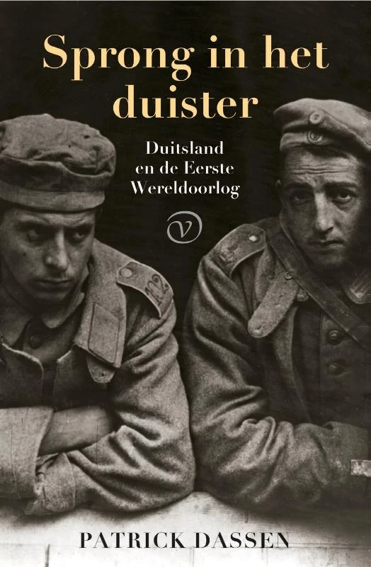 Sprong in het duister – Patrick Dassen – boek cover