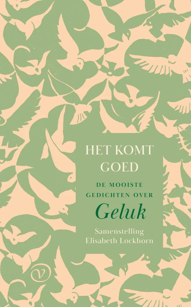 Het komt goed – Elisabeth Lockhorn – boek cover