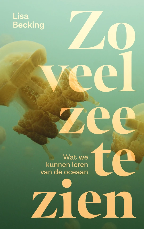 Zo veel zee te zien – Lisa Becking – boek cover