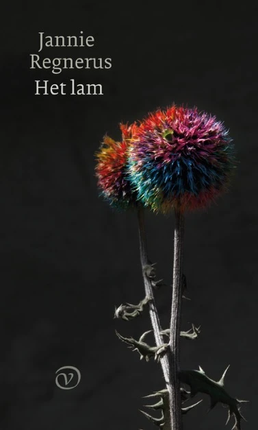 Het lam – Jannie Regnerus – boek cover