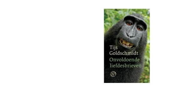 Onvoldoende liefdesbrieven – Tijs Goldschmidt – boek cover