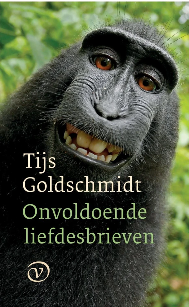 Onvoldoende liefdesbrieven – Tijs Goldschmidt – boek cover