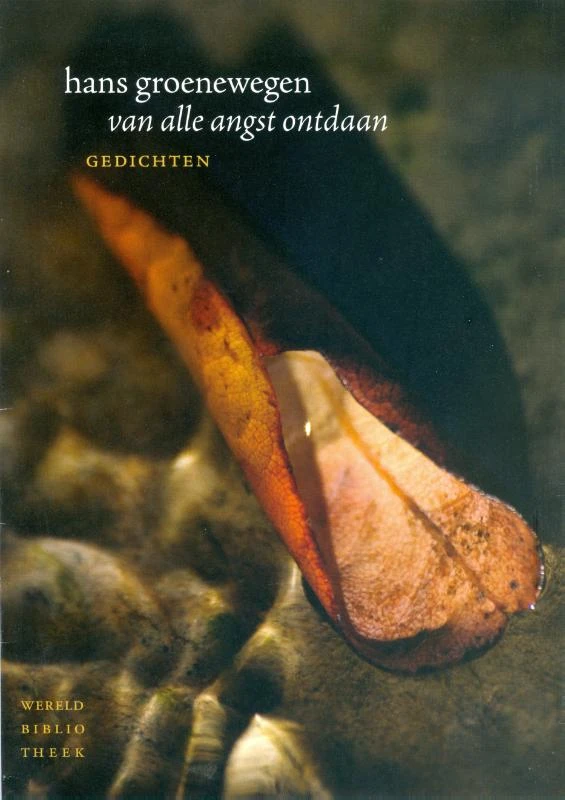 Van alle angst ontdaan – Hans Groenewegen – boek cover