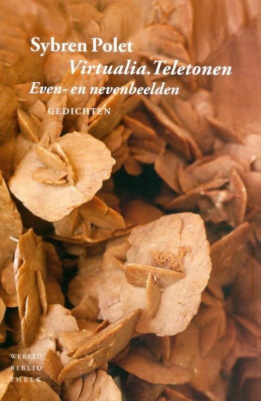 Virtualia. Teletonen – Sybren Polet – boek cover