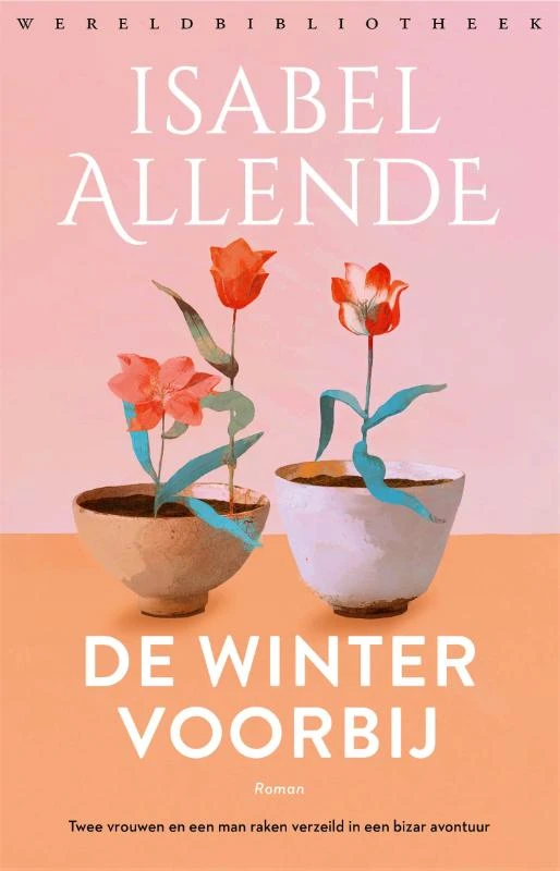 De winter voorbij – Isabel Allende – boek cover
