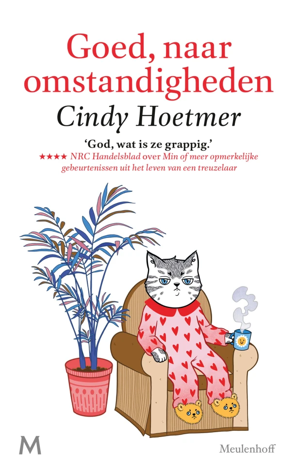 Goed, naar omstandigheden – Cindy Hoetmer – boek cover