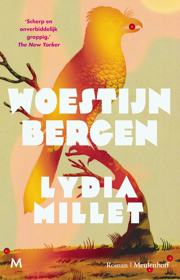 Woestijnbergen – Lydia Millet – boek cover