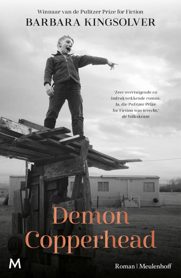 Demon Copperhead – Barbara Kingsolver – boek cover