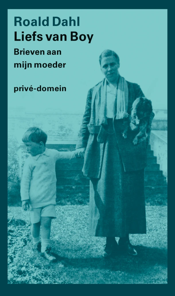 Liefs van Boy – Roald Dahl – boek cover