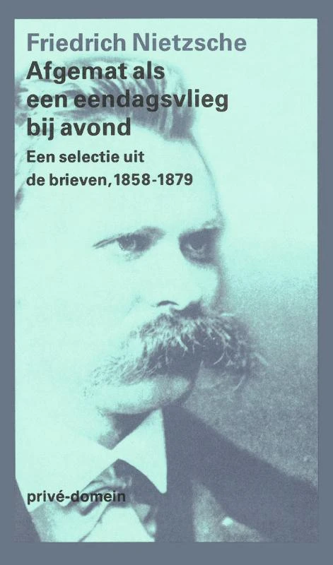 Afgemat als een eendagsvlieg bij avond – Friedrich Nietzsche – boek cover