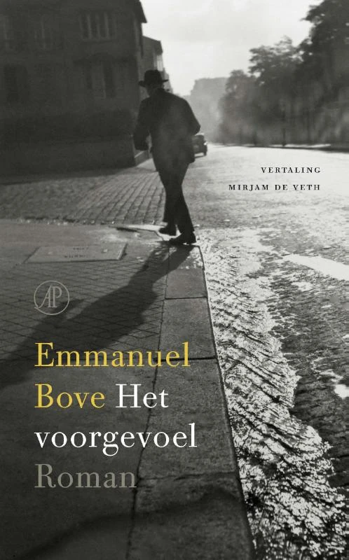 Het voorgevoel – Emmanuel Bove – boek cover