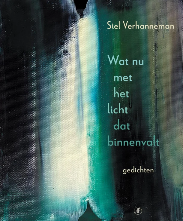 Wat nu met het licht dat binnenvalt – Siel Verhanneman – boek cover