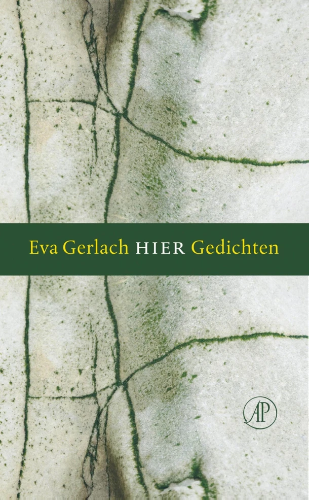 Hier – Eva Gerlach – boek cover